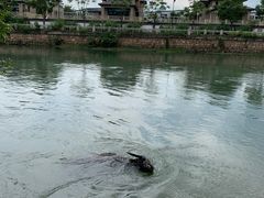 -杭州双溪漂流景区