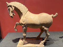 -陕西历史博物馆