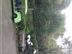 -都江堰中华大熊猫苑