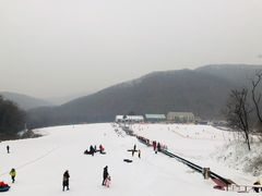 -五家山森林公园滑雪场