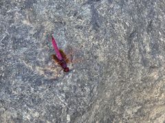 -渔梁坝