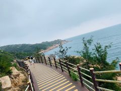 -广东惠东海龟国家级自然保护区