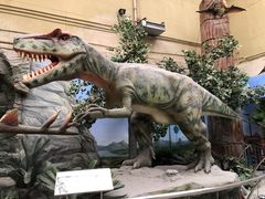 -国家自然博物馆