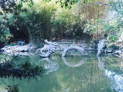 -汇龙潭