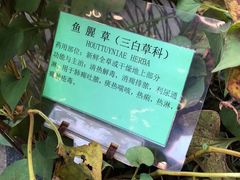 -杭州胡庆余堂第二中医门诊部