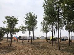 -东堤公园