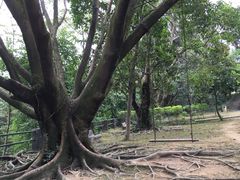 -古佛洞天