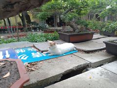 -西园戒幢律寺