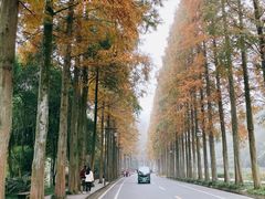 -青城山