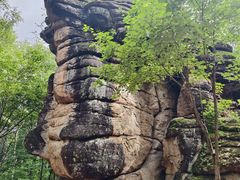 -汤旺河林海奇石景区