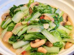 小白菜炒口蘑-沙力海美食城 西北特色菜 烤肉店(北门坡店)