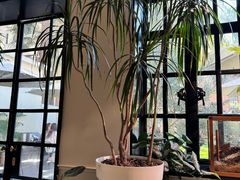 -一尺花园(安和花园店)