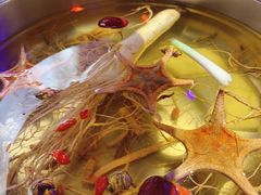 -千岛蚝高压锅生蚝·人参火锅(白云万达店)