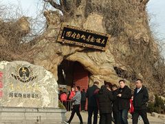 -大槐树寻根祭祖园