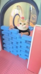 -MELAND CLUB亲子乐园·派对·餐厅(北京芳圆里ID MALL店)