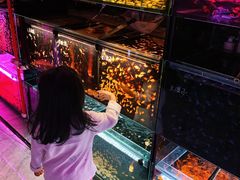 -中环花鸟鱼虫市场
