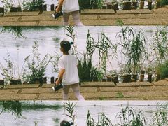 -杭州观成实验学校