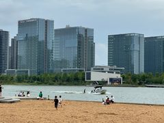 -金沙湖公园