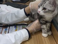-成都民大动物医院