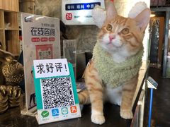 -美联众合动物医院(唯恩分院)
