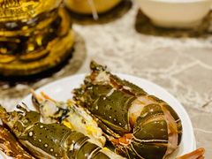 小青龙-铭门盛宴·艺术海鲜姿造(福田黑金店)