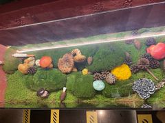 -滇野云南野生菌餐厅(陕西南路店)