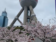 -东方明珠广播电视塔