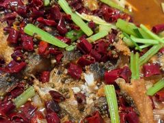 -老板恋上鱼(恒隆广场店)