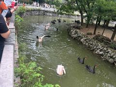 -黔灵山公园-南门售票处