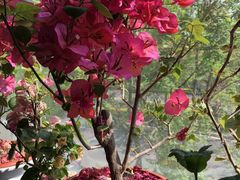 -云之南(八里庄店)