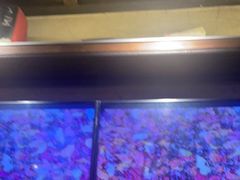 -探鱼·鲜青椒爽麻烤鱼(广州欣荣广场店)