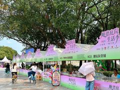 -顺峰山公园