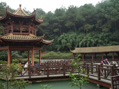 -铁山坪森林公园