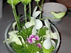 -T館·花园艺术餐厅