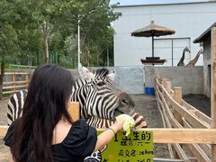 -水上乐园·欢乐世界