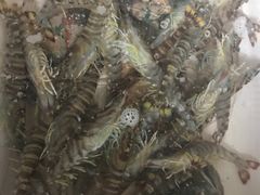 -盒马鲜生(大成店)