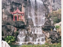 -金鸡山公园