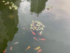 -宁波美术馆