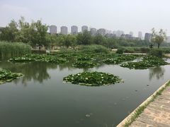 -前关湿地公园