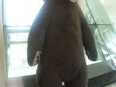 iphone_upload_pic-济州岛泰迪熊博物馆