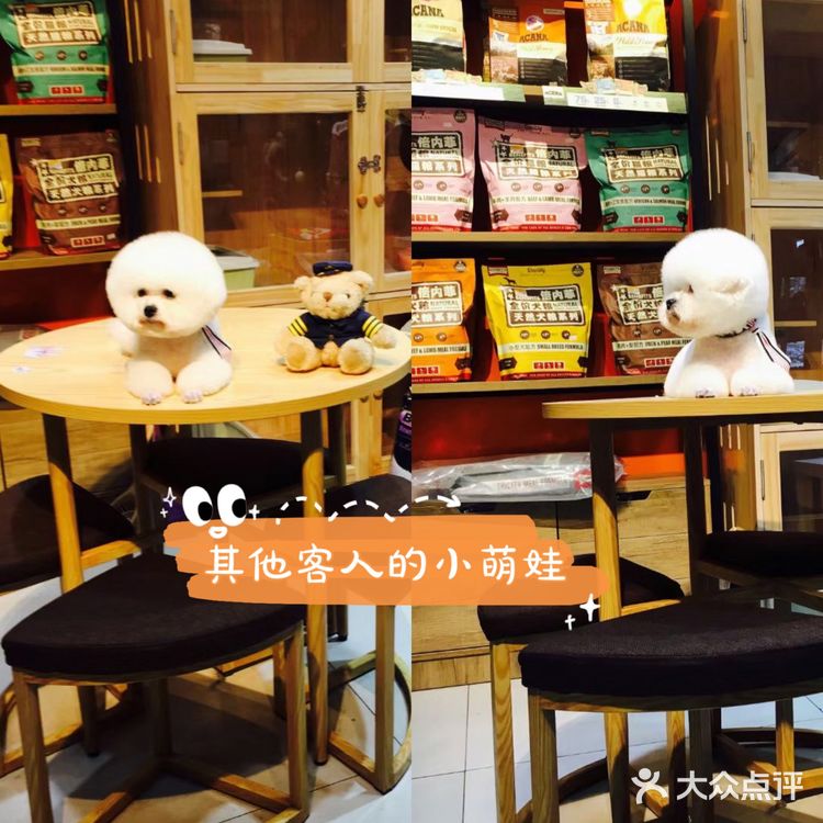 一家有温度的宠物医院🐈欣宠宠物🦮