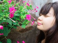 -枸杞岛