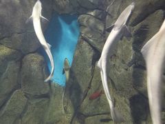 -福州罗源湾海洋世界旅游区