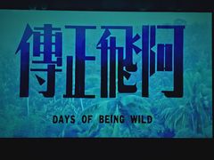 -为你钟情咖啡馆(春熙路太古里步行街店)