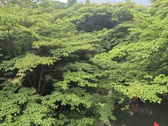 -雕刻之森美术馆