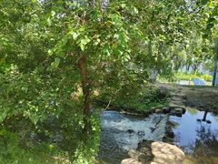 -长白岛森林公园