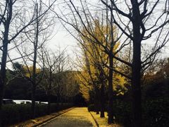 -热田神宫