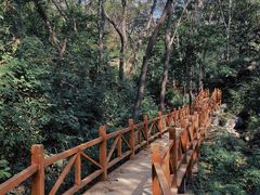 -大岭沟猕猴桃谷风景区