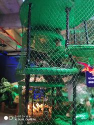 -恐龙探索乐园(磁器口店)