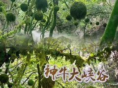 -神牛大峡谷